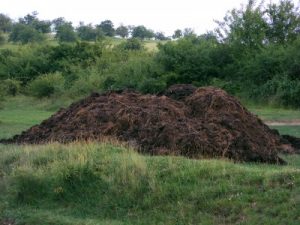 a country compost pile